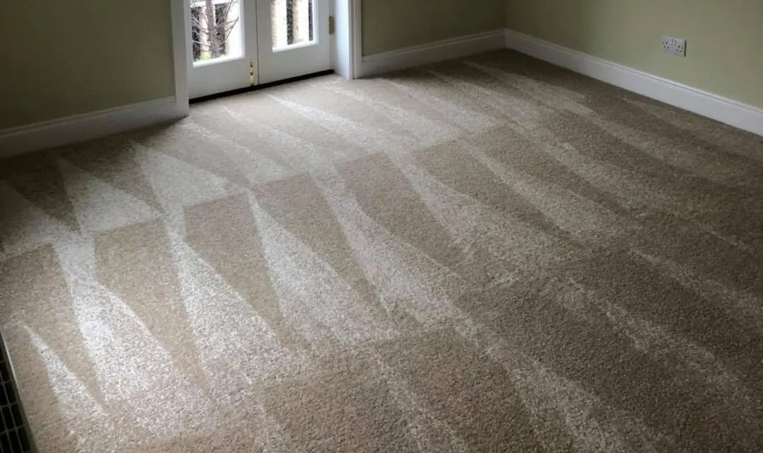 Freshly cleaned carpet showing extraction lines after a carpet clean by Elite Cleaning Services Cambridge